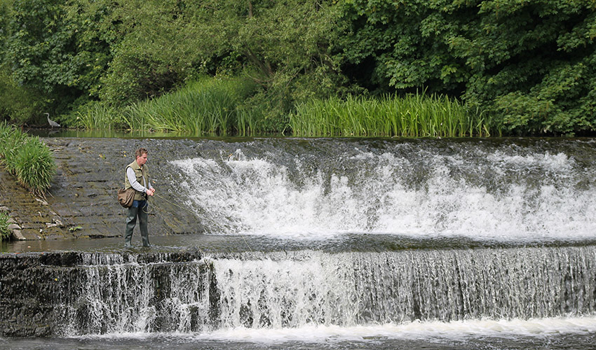 web-fisherman-page