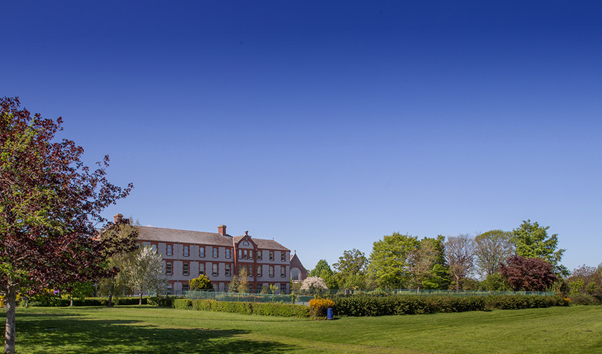 Terenure College